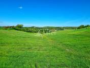 Dans les coteaux du Bas Quercy 2 maisons et dépendances sur 17