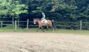 Ponette de 6 ans 