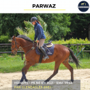 PARWAZ - PS - 4 ANS