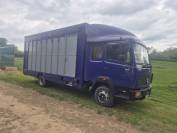 Camion chevaux