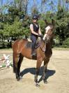 Jument super pour  Amateur