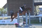 Jument 5ans Opium x Baloubet