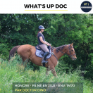 WHAT'S UP DOC - PS - 4 ANS