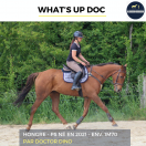 WHAT'S UP DOC - PS - 4 ANS