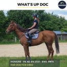 WHAT'S UP DOC - PS - 4 ANS
