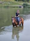 Hongre Quarter Horse de 2019