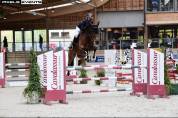Castrone AES Anglo European Studbook In vendita 2013 Baio ,  BALOUBET DU ROUET
