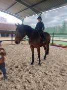 Cheval pour loisir et compagnie 