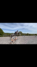 Poney sport 