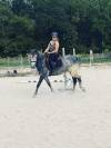 Poney sport 