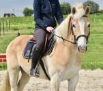 JOLI HAFLINGER 