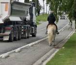 JOLI HAFLINGER 