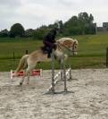 JOLI HAFLINGER 