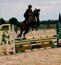 Cheval de 4ans à vendre 