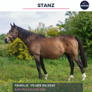 STANZ - PS - 17 ANS