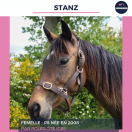 STANZ - PS - 17 ANS