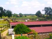 Proprietà equestre In vendita Landes
