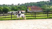 Proprietà equestre In vendita Landes