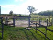 Proprietà equestre In vendita Landes