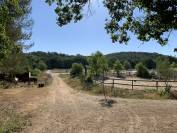 Propriété élevage canin/équin et pension chevaux/chiens