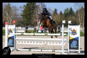 Poney de sport à louer AS2/AS1