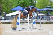 Poney de sport à louer AS2/AS1