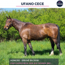 UFANO CECE - SFB - 17 ANS