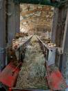 Bergerie sur 26 ha en Limargue lotois
