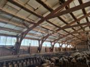 Bergerie sur 26 ha en Limargue lotois