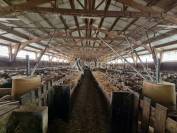 Bergerie sur 26 ha en Limargue lotois