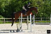 Cheval de cso 