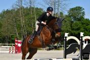 Cheval de cso 