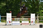 Cheval de cso 
