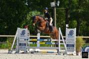 Cheval de cso 