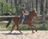 Cheval Meridan