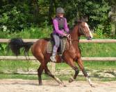 Cheval Middle