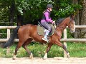 Cheval Middle