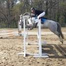 A VENDRE POULAIN PFS