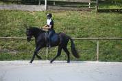Pure Race Espagnole 