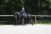 Pure Race Espagnole 