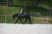 Pure Race Espagnole 