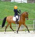 PRE 6 ans dressage/concours 