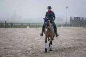Demi Pension Cheval dressage 