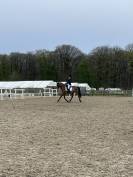 Demi Pension Cheval dressage 