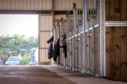 Maison Chaumes En Retz 5 pièce(s) 130 m2 44 hectares