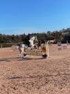 Offre d’emploi - Moniteur (trice)