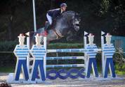 Castrone Sella Francese In vendita 2024 Baio