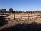 Écurie C&R - Pension Chevaux Poneys