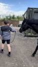 Ponette de sport taille D 5 ans – Le talent polyvalent!