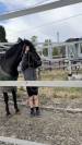 Ponette de sport taille D 5 ans – Le talent polyvalent!